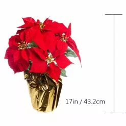 Wholesale 🔔 Red Velvet Potted Poinsettia with Gold Foil by Ashland® 🌟 -Michaels Store 10676015 3