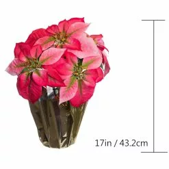 Wholesale ⌛ Pink Potted Poinsettia with Gold Foil by Ashland® ⭐ -Michaels Store 10676020 3