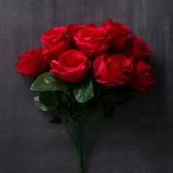 Promo 🧨 12 Pack: Red Rose Bush by Ashland® ⭐ -Michaels Store 10676296 22