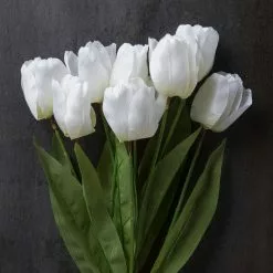 Brand new 🔔 12 Pack: White Tulip Bush by Ashland® 🛒 -Michaels Store 10676299 22