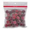 Best reviews of 🎁 Sugared Red Berry Filler by Ashland® ⭐ -Michaels Store 10676685 1