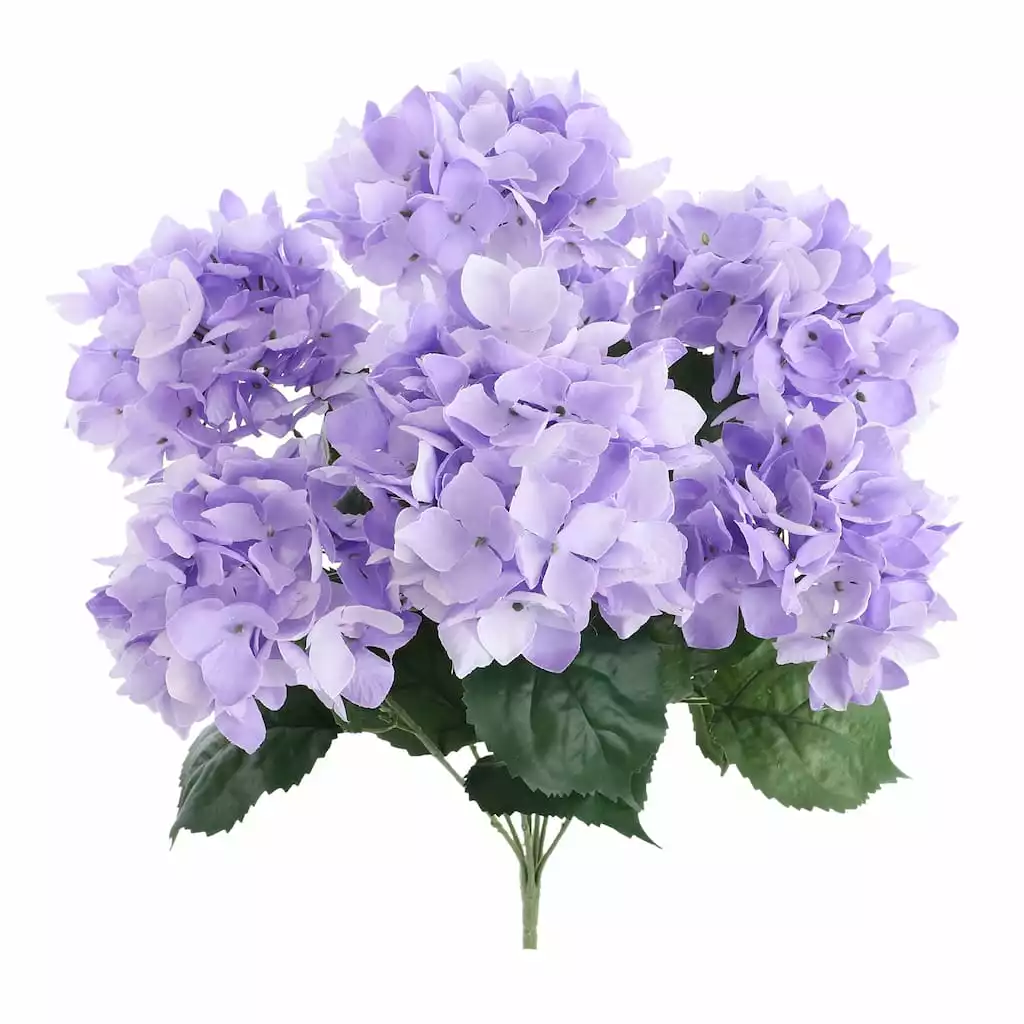 Best Pirce ✨ 12 Pack: Purple Hydrangea Bush by Ashland® 🛒 4 Best Pirce ✨ 12 Pack: Purple Hydrangea Bush by Ashland® 🛒 - Image 2