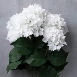 Best Sale ✔️ White Hydrangea Bush by Ashland® 🤩 -Michaels Store 10677450 22