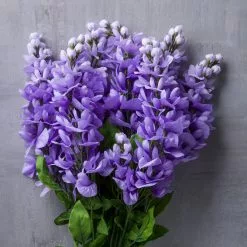 Budget ✔️ 12 Pack: Purple Wisteria Bush by Ashland® 🛒 -Michaels Store 10677451 22 1