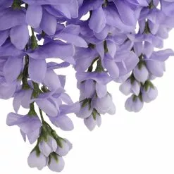 Budget ✔️ 12 Pack: Purple Wisteria Bush by Ashland® 🛒 -Michaels Store 10677451 6 1