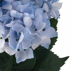 Best reviews of 😉 Light Blue Hydrangea Bush by Ashland® 💯 -Michaels Store 10677452 20 1