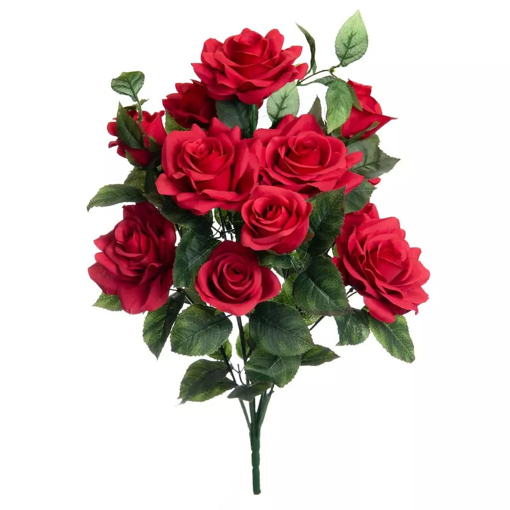 Best reviews of ⌛ 12 Pack: Red Rose Bush by Ashland® 🎁 3 Best reviews of ⌛ 12 Pack: Red Rose Bush by Ashland® 🎁