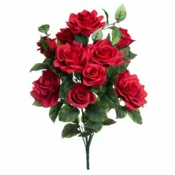 Promo 🧨 Red Rose Bush by Ashland® 🎁