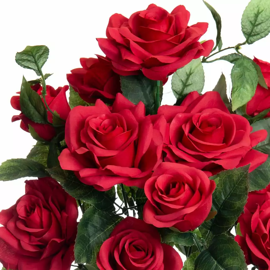 Best reviews of ⌛ 12 Pack: Red Rose Bush by Ashland® 🎁 4 Best reviews of ⌛ 12 Pack: Red Rose Bush by Ashland® 🎁 - Image 2