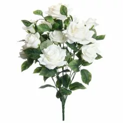 Best reviews of ✔️ White Rose Bush by Ashland® ❤️