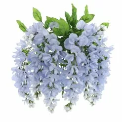 Top 10 ✔️ 12 Pack: Blue Wisteria Bush by Ashland® 🎁 -Michaels Store 10677460 5 1