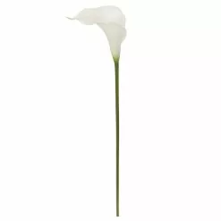Outlet 🤩 White Calla Lily Stem by Ashland® 😀