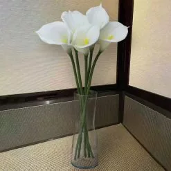 Outlet 🤩 White Calla Lily Stem by Ashland® 😀 11 Outlet 🤩 White Calla Lily Stem by Ashland® 😀 -Michaels Store 10679176 4