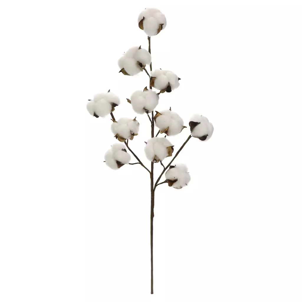 Coupon ⌛ Cotton Stem by Ashland® ⌛ 3 Coupon ⌛ Cotton Stem by Ashland® ⌛