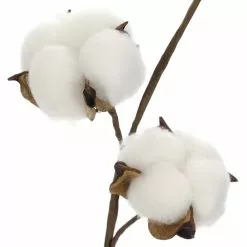 Coupon ⌛ Cotton Stem by Ashland® ⌛ 8 Coupon ⌛ Cotton Stem by Ashland® ⌛ -Michaels Store 10679177 2