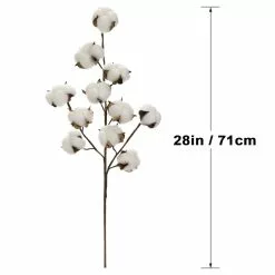 Coupon ⌛ Cotton Stem by Ashland® ⌛ 9 Coupon ⌛ Cotton Stem by Ashland® ⌛ -Michaels Store 10679177 3