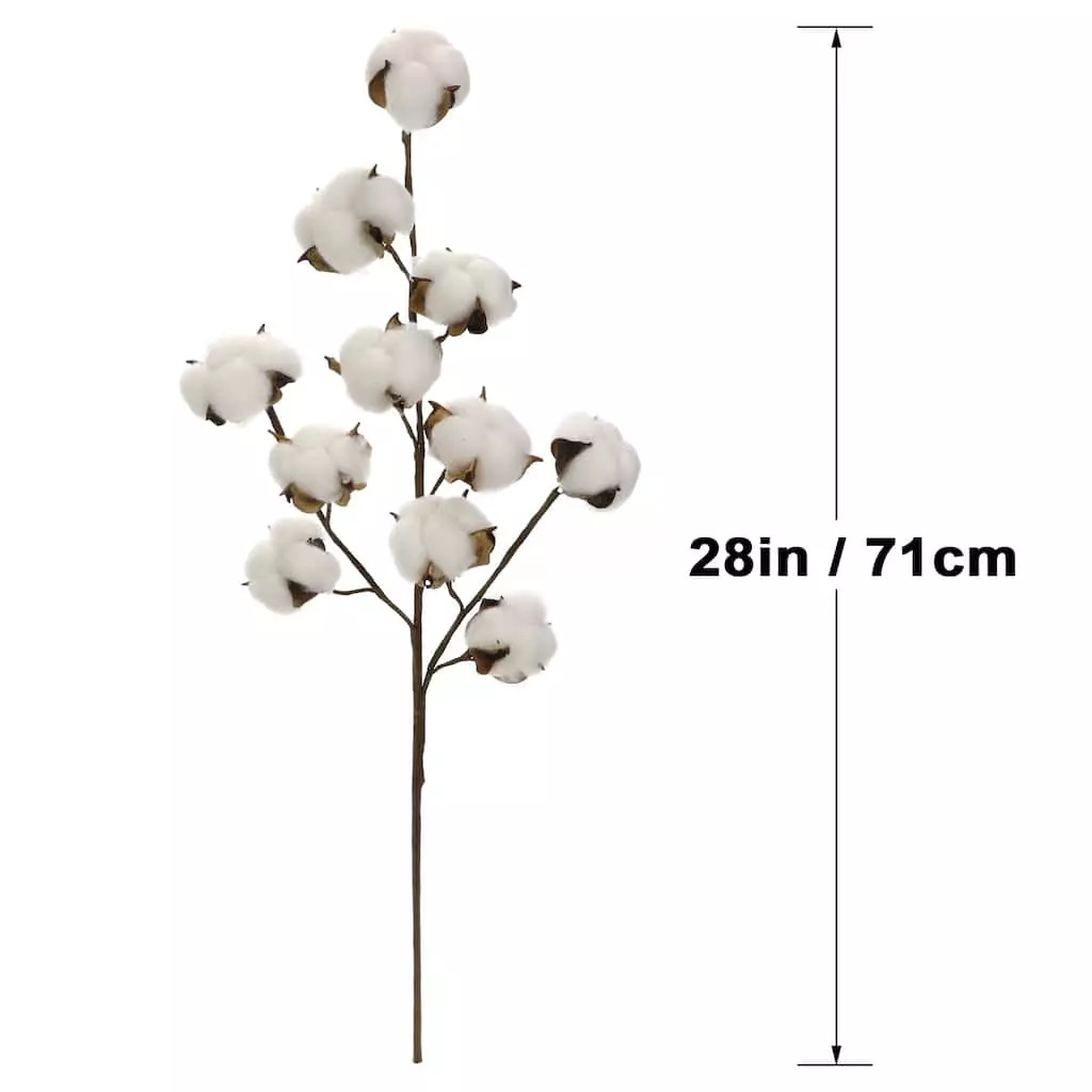 Coupon ⌛ Cotton Stem by Ashland® ⌛ 6 Coupon ⌛ Cotton Stem by Ashland® ⌛ - Image 4