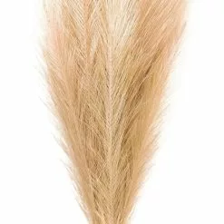 Budget ❤️ Wispy Pampas Grass Stem by Ashland® ✨ -Michaels Store 10679178 2