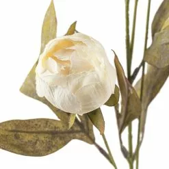Wholesale ⌛ Cream Peony Stem by Ashland® ✔️ -Michaels Store 10679180 20