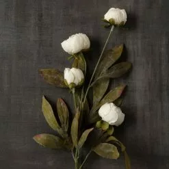 Wholesale ⌛ Cream Peony Stem by Ashland® ✔️ -Michaels Store 10679180 25