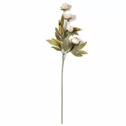 Deals 🔥 Tan Peony Stem by Ashland® 🧨 -Michaels Store 10679183 21