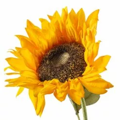 Discount 👏 Gold Sunflower Stem by Ashland® ⭐ -Michaels Store 10679186 20