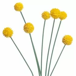 Outlet 😍 Yellow Billy Ball Stem by Ashland® 🌟 -Michaels Store 10679191 2