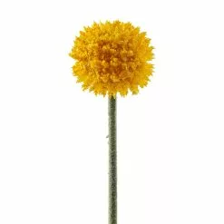 Outlet 😍 Yellow Billy Ball Stem by Ashland® 🌟 -Michaels Store 10679191 20