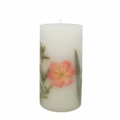 Best reviews of 🤩 Home Fragrance Collection 3" x 6" Peony & Rose Scented Pillar Candle by Ashland® 🔔