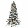 Best reviews of 🔔 7.5ft. Pre-Lit Fir Artificial Christmas Tree, Clear Lights by Ashland® 🧨