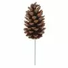 Best Sale 🔥 Pinecone Pick by Ashland® ❤️ -Michaels Store 10698756 1