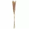 Discount ⌛ 6 Pack: Mini Natural Brown Pampas Bunch by Ashland® ⌛ -Michaels Store 10698883 1 1