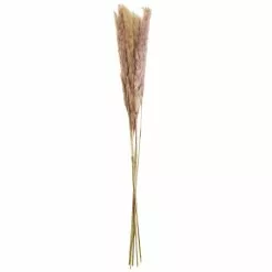 Discount ⌛ 6 Pack: Mini Natural Brown Pampas Bunch by Ashland® ⌛