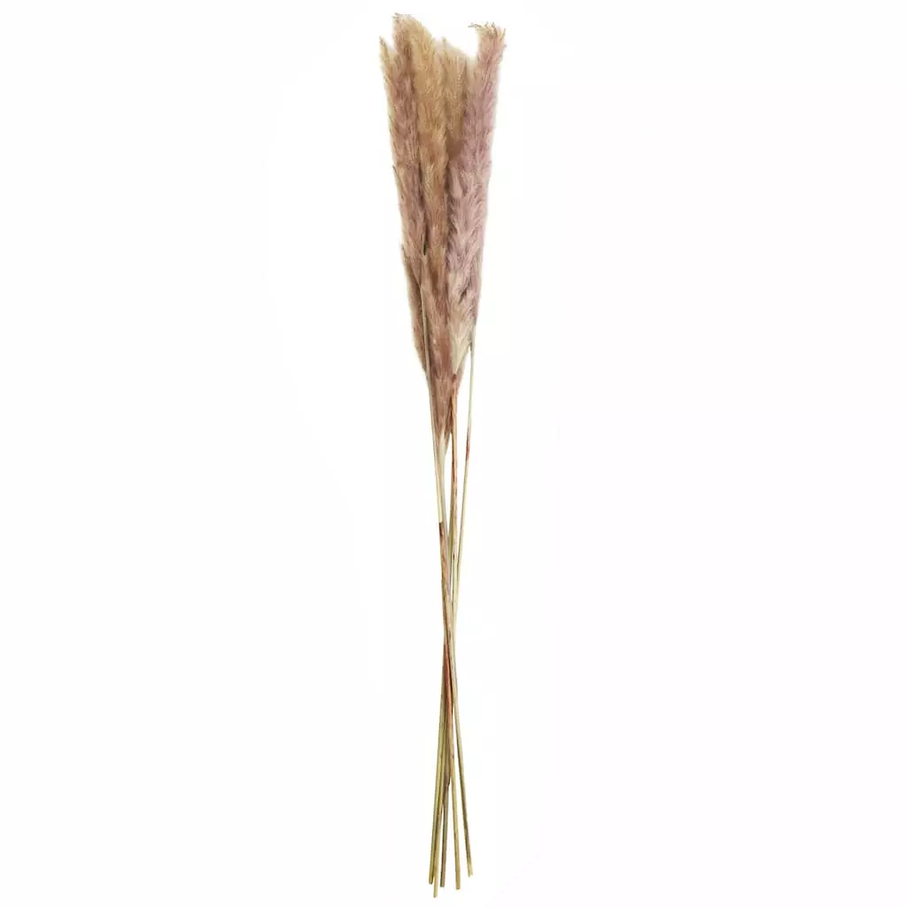 Discount ⌛ 6 Pack: Mini Natural Brown Pampas Bunch by Ashland® ⌛ 3 Discount ⌛ 6 Pack: Mini Natural Brown Pampas Bunch by Ashland® ⌛