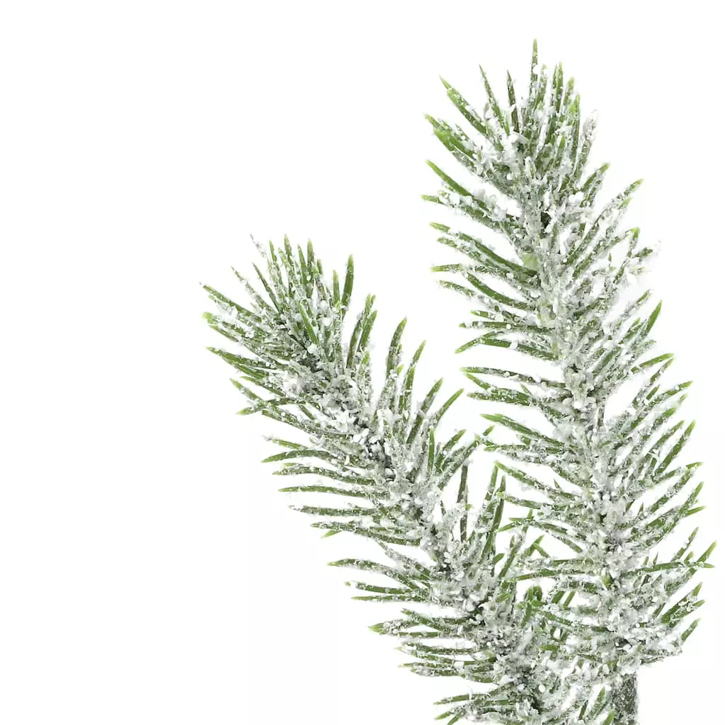 Coupon ❤️ Assorted Mini Pine Bundle by Ashland® 🔥 8 Coupon ❤️ Assorted Mini Pine Bundle by Ashland® 🔥 - Image 6