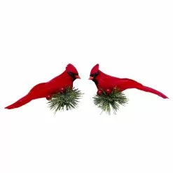 Wholesale βοΈ Cardinals on Pine Branch Accents by Ashland®, 2ct. π 7 Wholesale βοΈ Cardinals on Pine Branch Accents by Ashland®, 2ct. π -Michaels Store 10699078 3