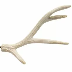Best Sale ❤️ Assorted Deer Antler Pick by Ashland® 🤩 -Michaels Store 10699100 4
