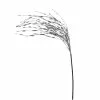 Budget ⌛ Silver Grass Pick by Ashland® ✨ -Michaels Store 10699306 1