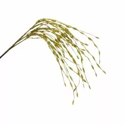 Flash Sale ❤️ Gold Grass Pick by Ashland® ⌛ 6 Flash Sale ❤️ Gold Grass Pick by Ashland® ⌛ -Michaels Store 10699314 2