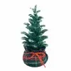Top 10 ✔️ 8'' Small 🌟 Christmas Tree with Base Tabletop Décor by Ashland® 👍 1 Top 10 ✔️ 8'' Small 🌟 Christmas Tree with Base Tabletop Décor by Ashland® 👍 -Michaels Store 10699561 1
