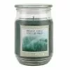 Deals ❤️ Midnight Forest Scented Jar Candle by Ashland® 🎁 -Michaels Store 10699741 1