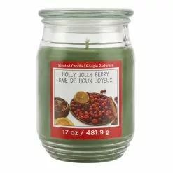Discount ❤️ Holly Jolly Berry Scented Jar Candle by Ashland® 👏