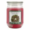 Brand new ❤️ Mistletoe & Holly Scented Candle Jar by Ashland® ✨ 2 Brand new ❤️ Mistletoe & Holly Scented Candle Jar by Ashland® ✨ -Michaels Store 10699761 1