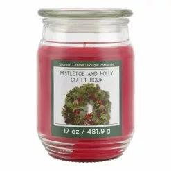 Brand new ❤️ Mistletoe & Holly Scented Candle Jar by Ashland® ✨
