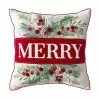 Brand new ✔️ Merry with Berries Pillow by Ashland® 🎁 -Michaels Store 10699838 1