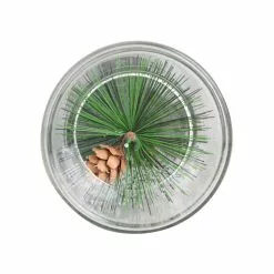 Best Pirce ✨ 6" Pine Leaf Glass Tealight Holder by Ashland® 🧨 -Michaels Store 10699910 4