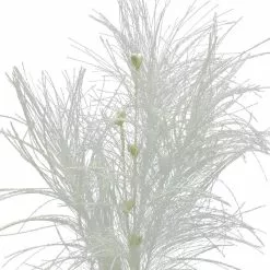 Flash Sale 👍 Assorted Pampas Grass & Pip Pick by Ashland® ❄ Christmas 😍 -Michaels Store 10700101 3