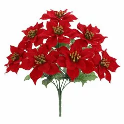 Cheap ✔️ Red Poinsettia Bush by Ashland® 🔔