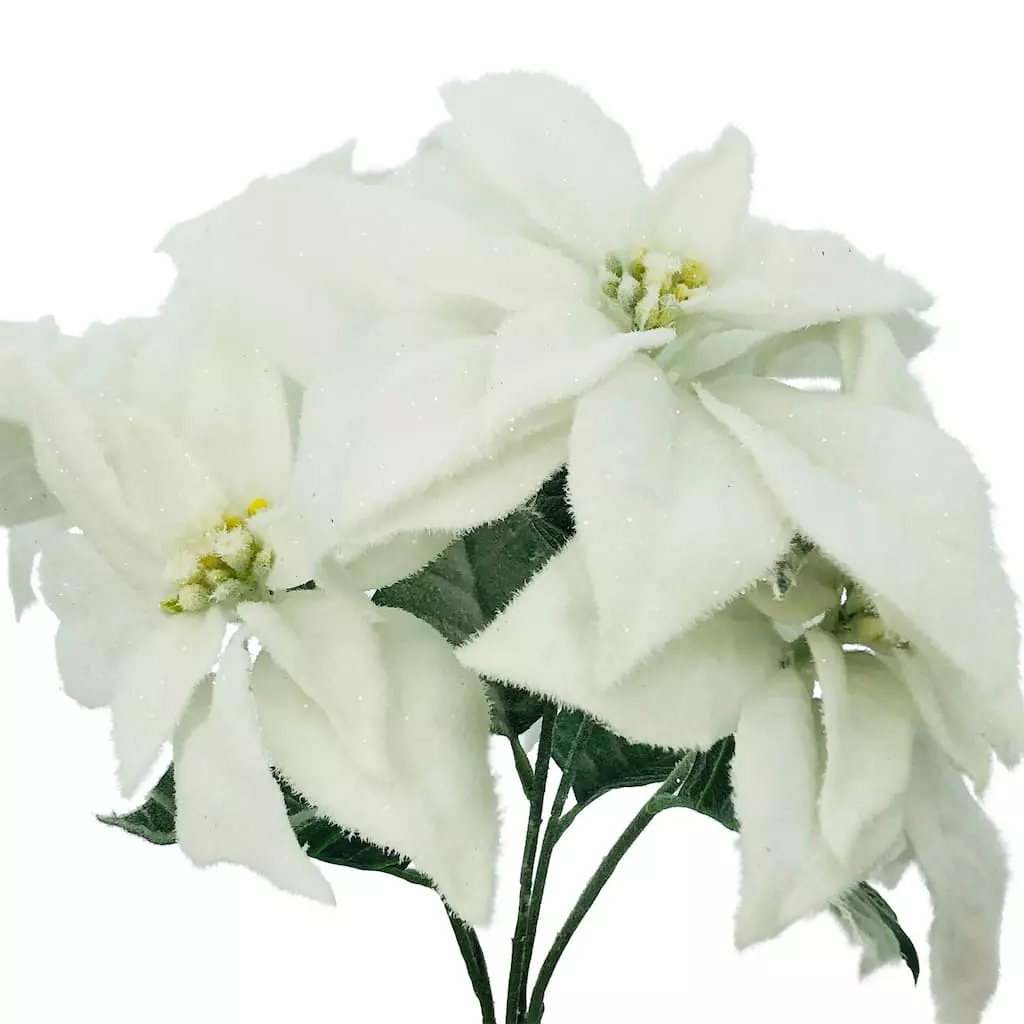 Best deal 🎉 Snow Covered Poinsettia Bush by Ashland® 🛒 4 Best deal 🎉 Snow Covered Poinsettia Bush by Ashland® 🛒 - Image 2