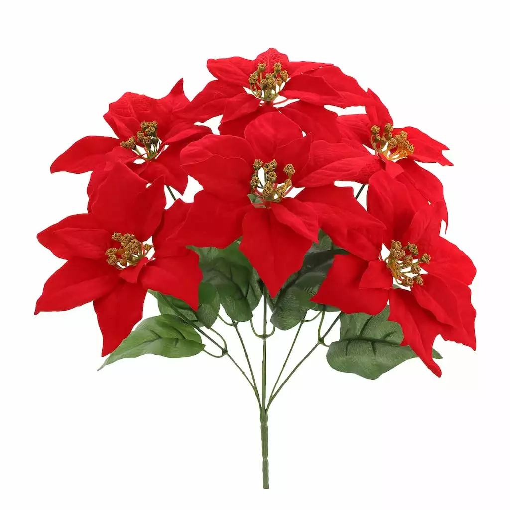 Best deal ๐ Red Poinsettia Bush by Ashland® โ๏ธ 3 Best deal ๐ Red Poinsettia Bush by Ashland® โ๏ธ